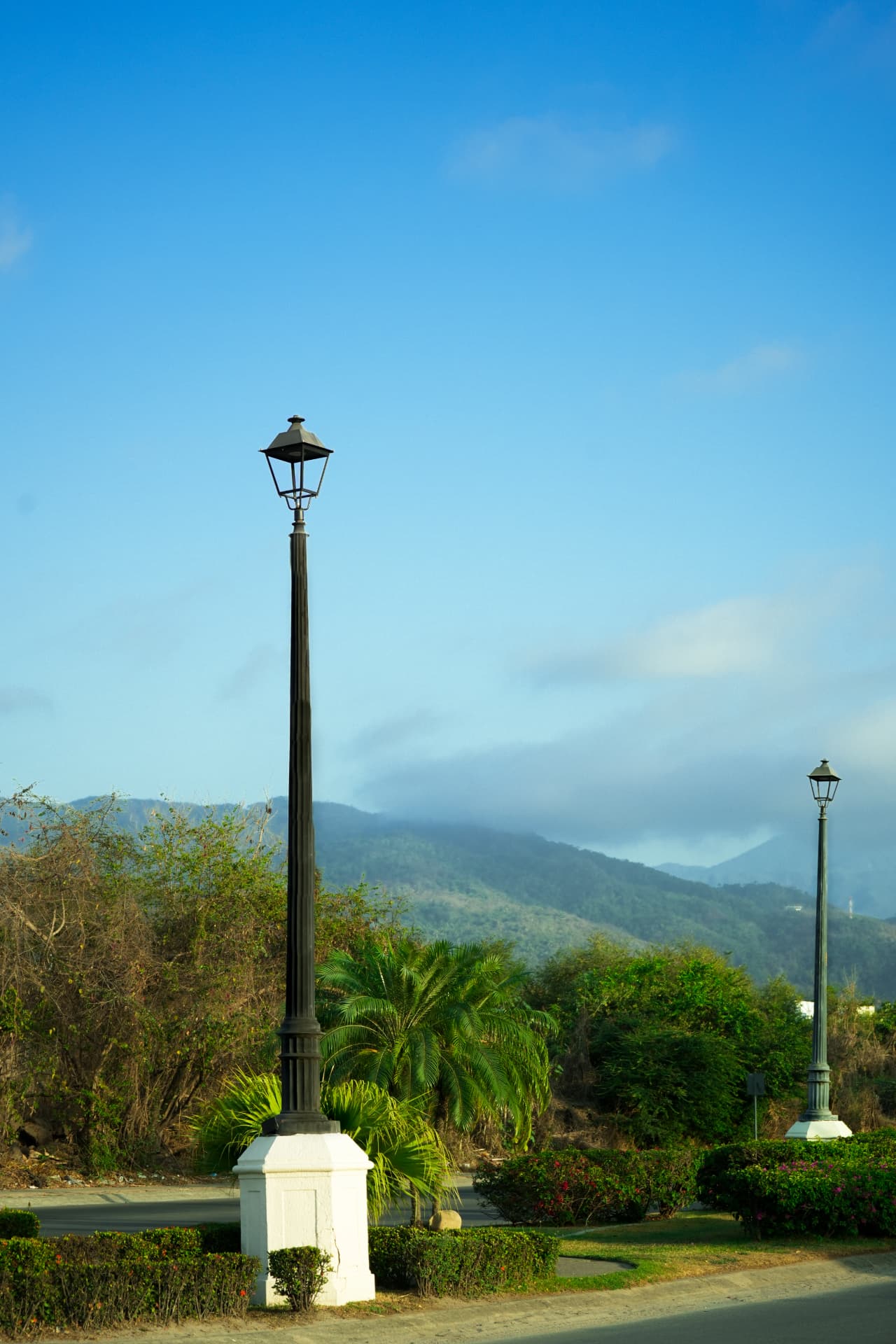Poste ornamental en una vialidad ajardinada