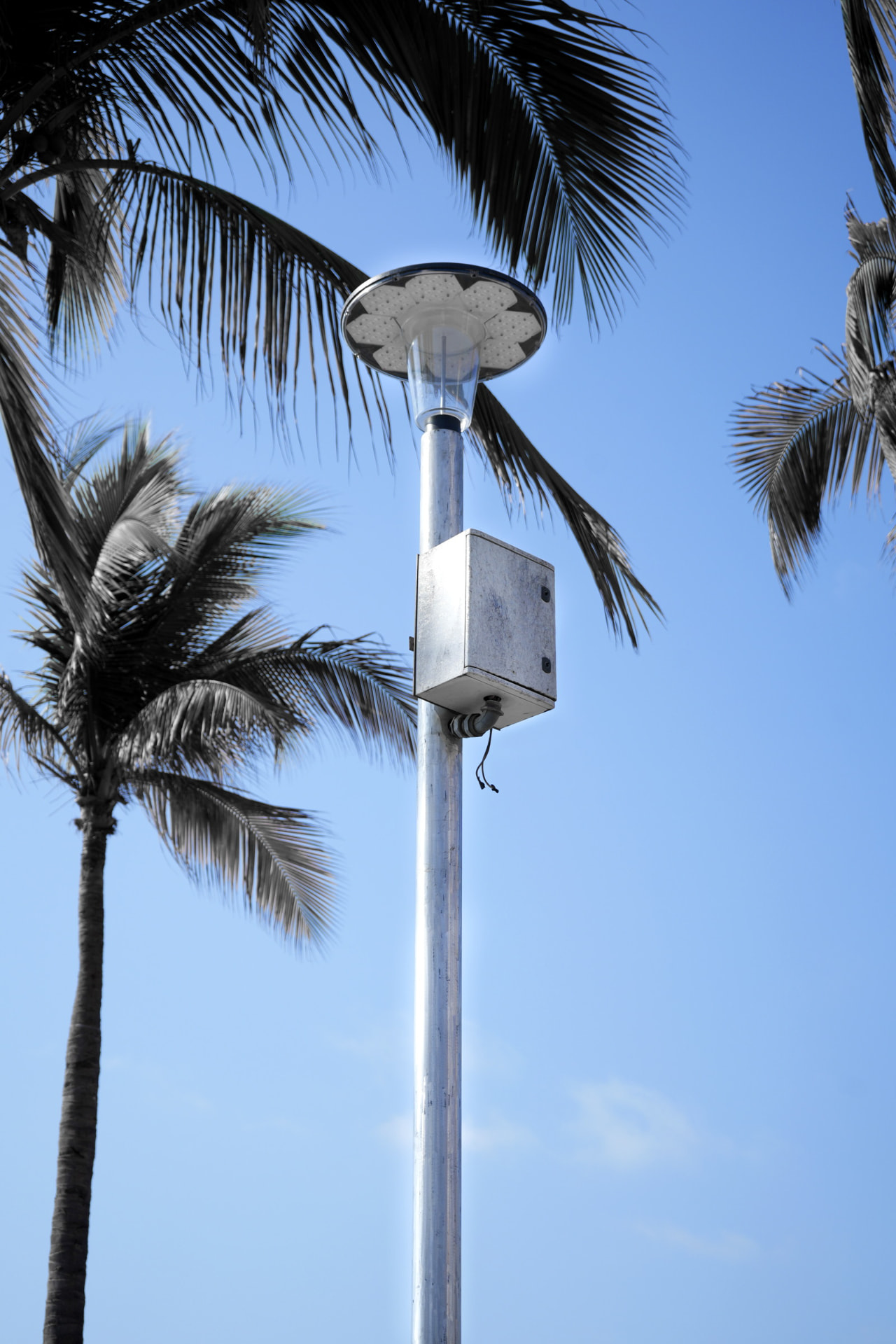 Poste de integración urbana entre palmeras