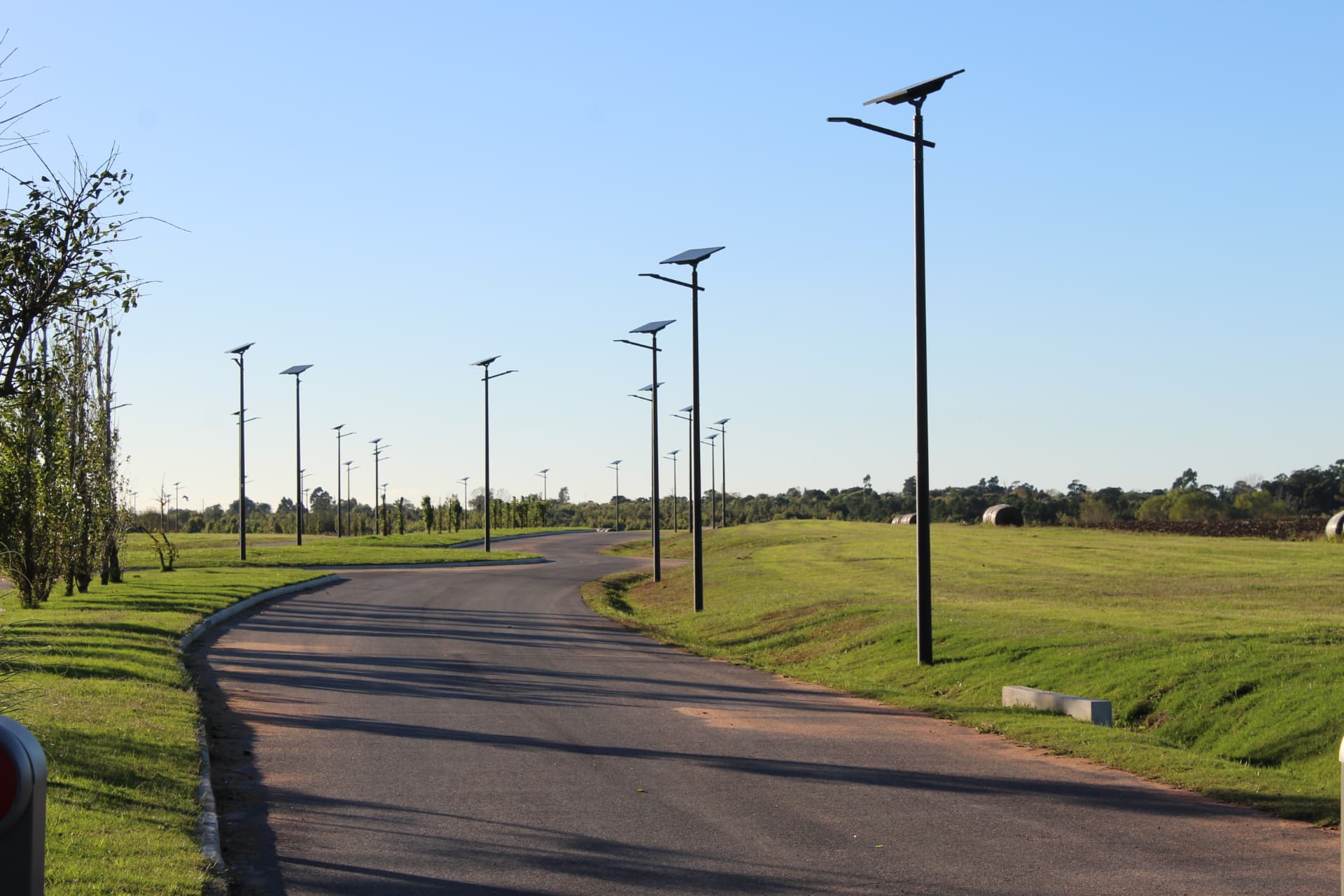 Postes solares a lo largo de una vialidad